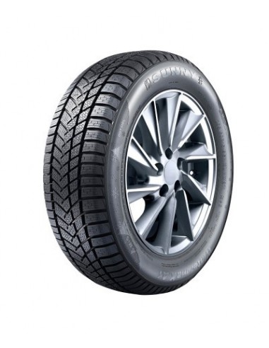 Anvelopa IARNA SUNNY NW211 205/50R17 93V XL