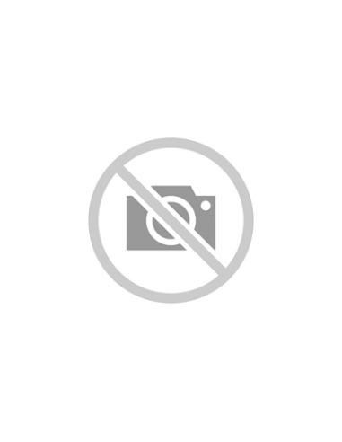 Anvelopa IARNA FRONWAY ICEPOWER 868 205/60R16 96H